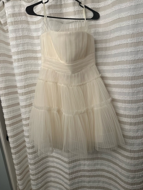 BCBG Dresses & Skirts - BCBG Cream Pleated Tulle Dress